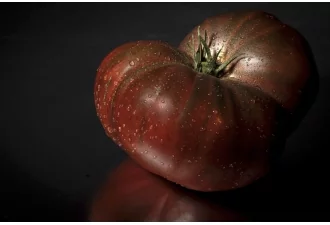 Masterclass Photo Culinaire à Paris