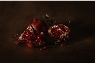 Masterclass photographie picturale avec Iconographia