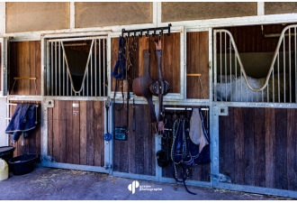 Masterclass Photographie Équestre – Haras de Fontainebleau | Graine de Photographe