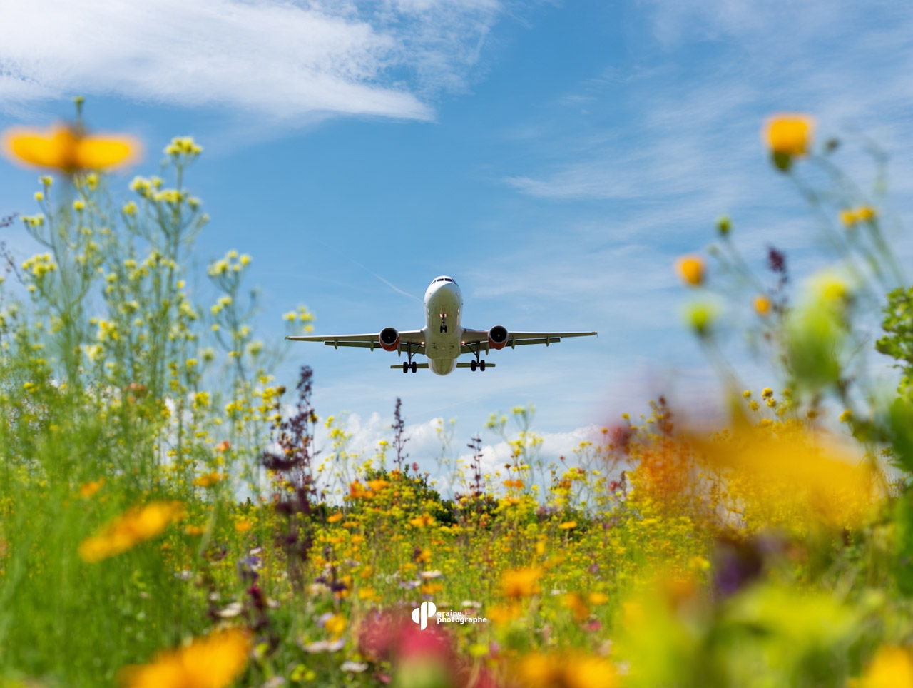 Cours retouche Créativité Photo et IA