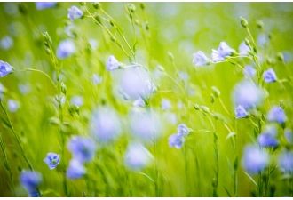 Workshop Méditation et Photographie