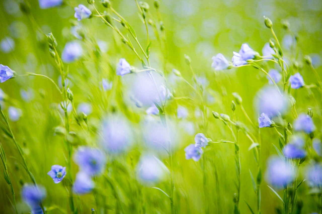 Workshop Meditation et Photographie au Moulin de Mérignac en Charente Maritime