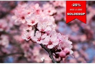 Cours Photo sur la profondeur de champ