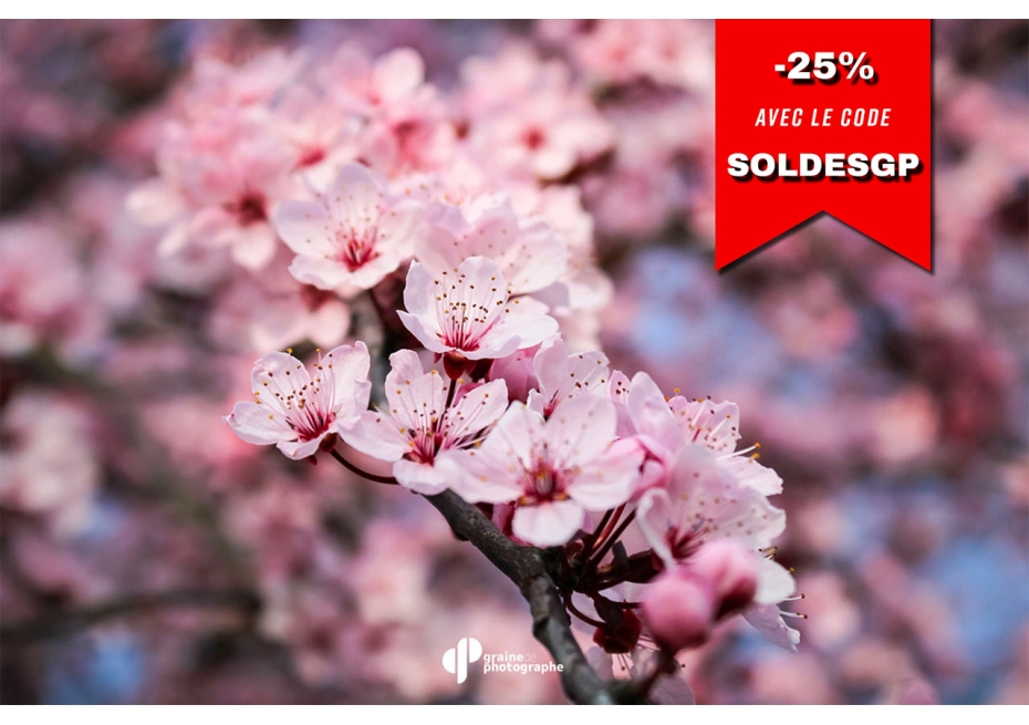 Cours Photo sur la profondeur de champ