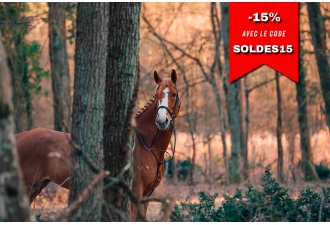 Masterclass Photographie Équestre – Haras de Fontainebleau | Graine de Photographe