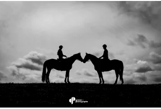 Masterclass Photographie Équestre – Haras de Fontainebleau | Graine de Photographe