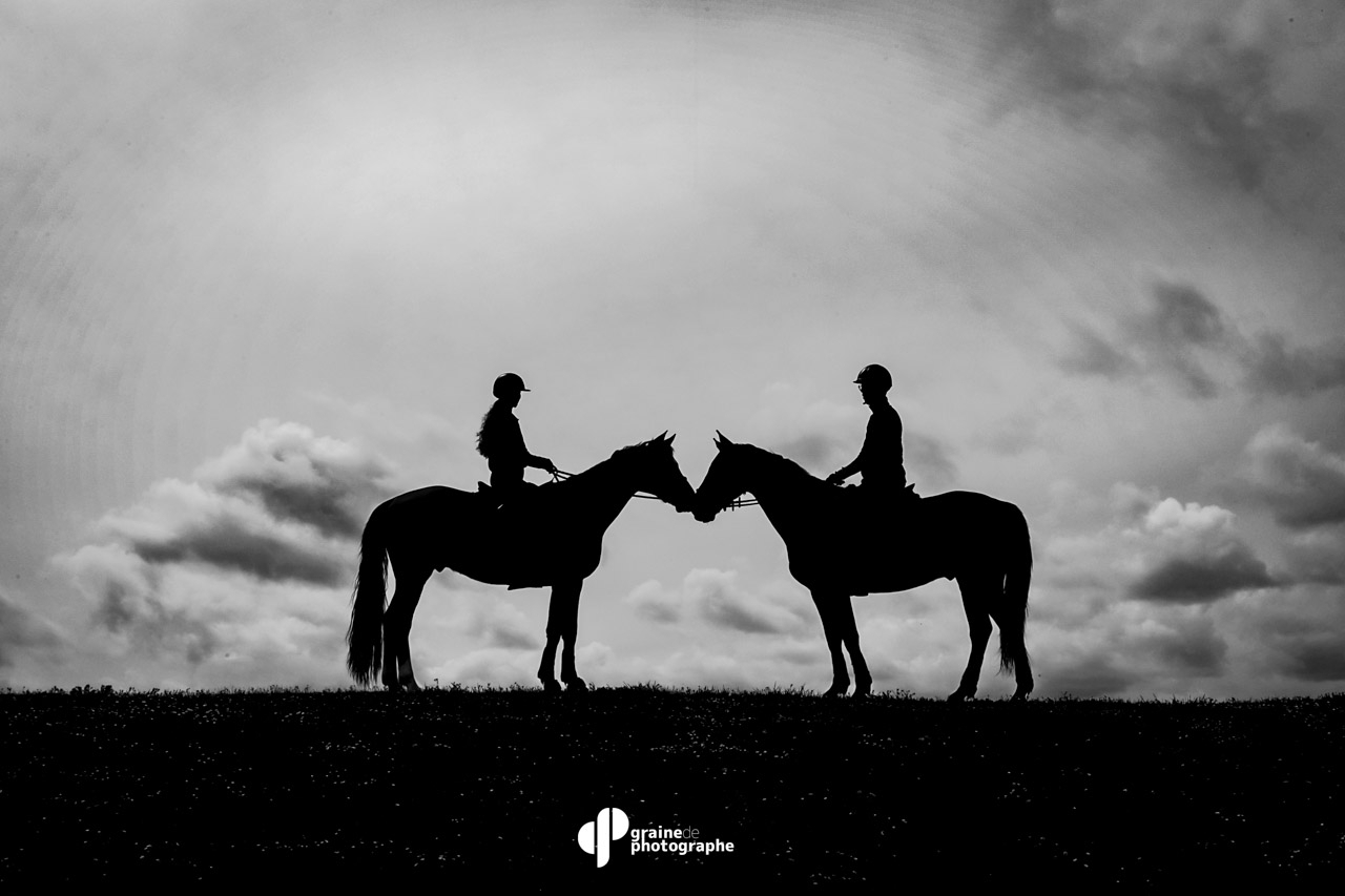 Masterclass Photographie Équestre