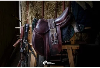 Masterclass Photographie Équestre – Haras de Fontainebleau | Graine de Photographe