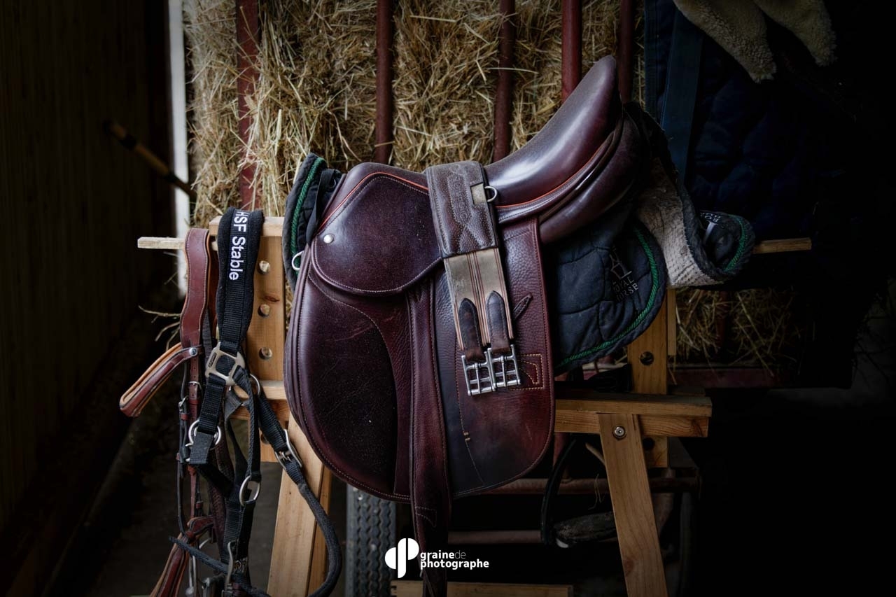 Masterclass Photographie Équestre