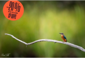 Masterclass Photo...