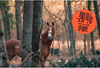 Masterclass Photographie...