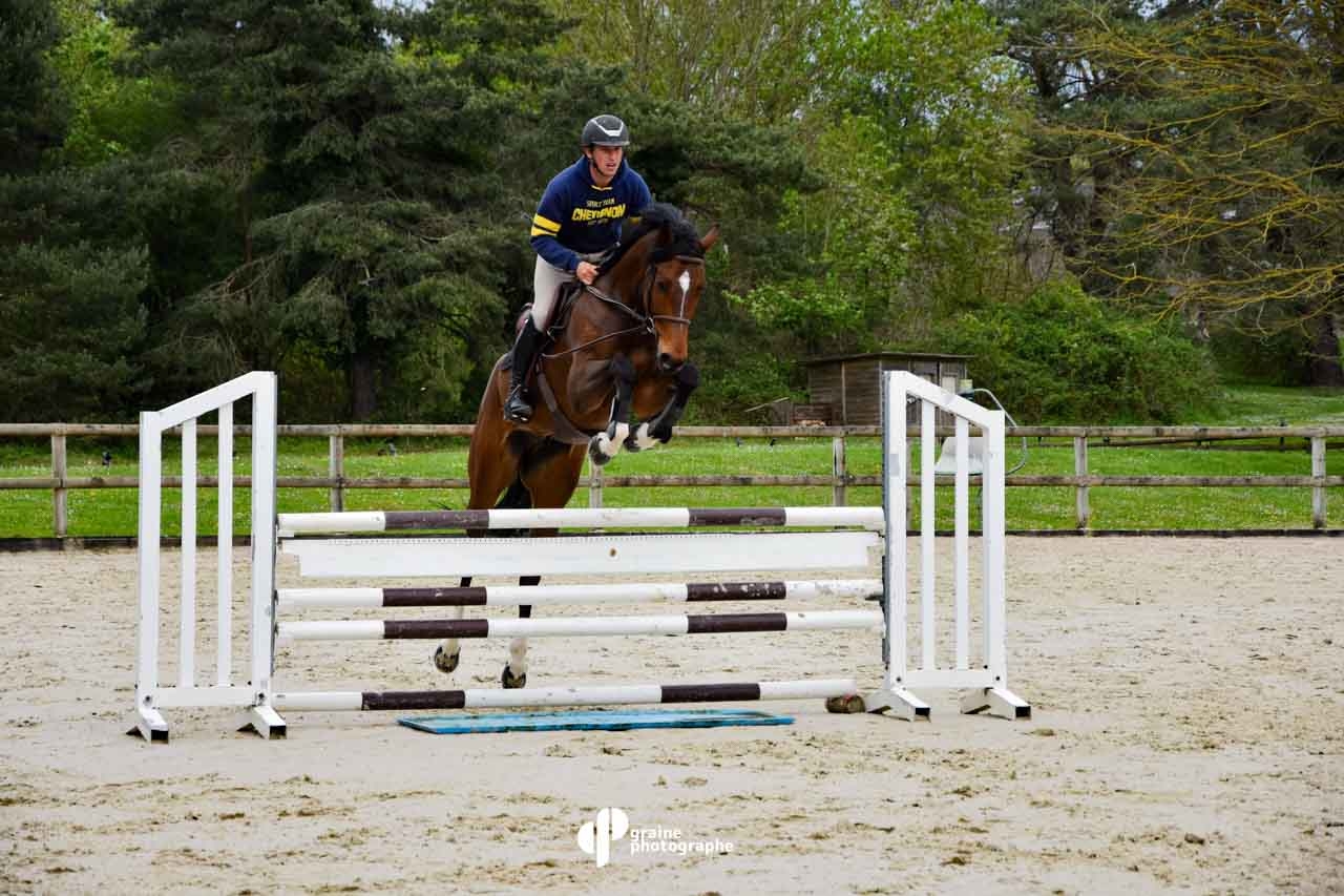 masterclass photographie equestre à fontainebleau