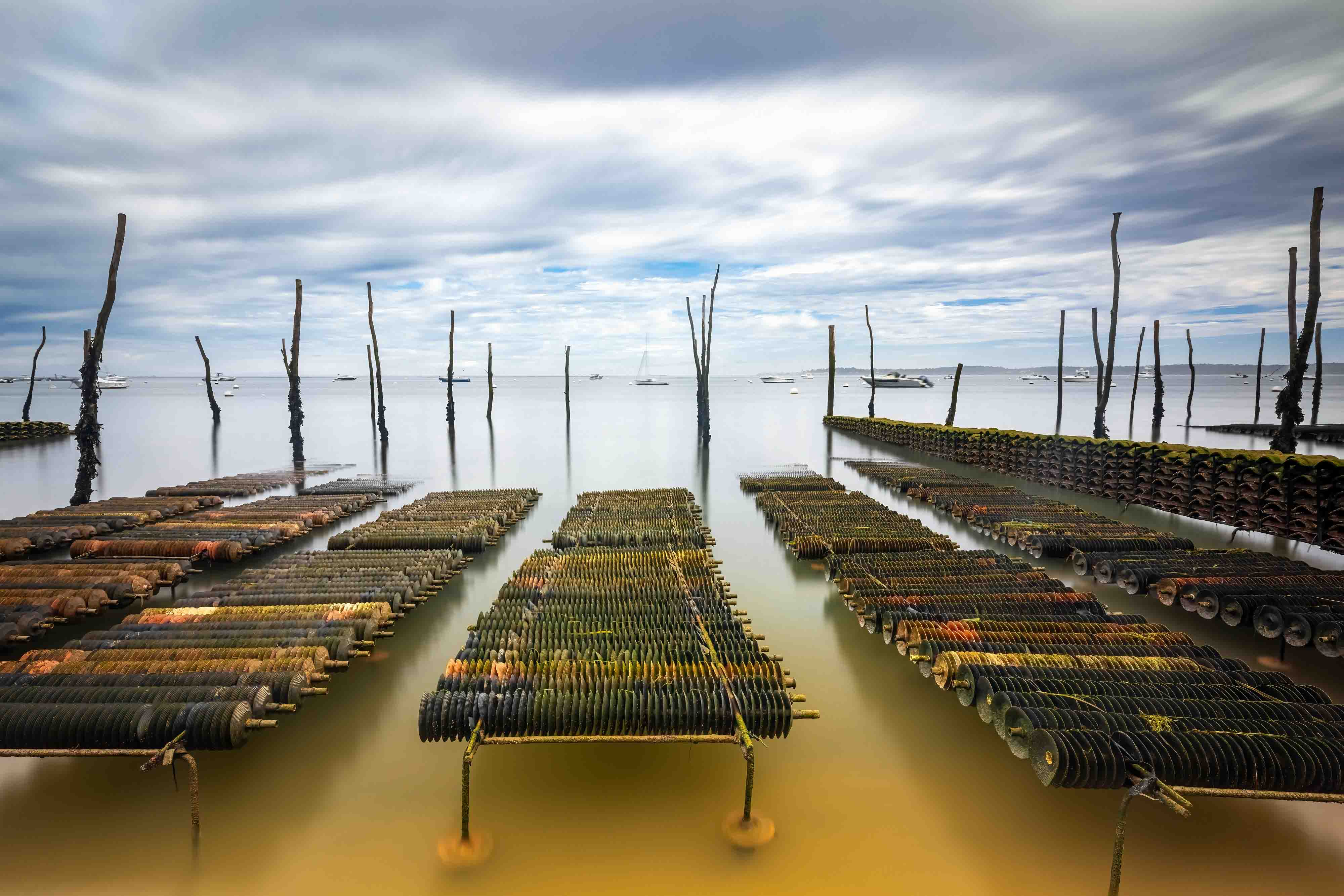 Masterclass photo de paysage au bassin d'Arcachon