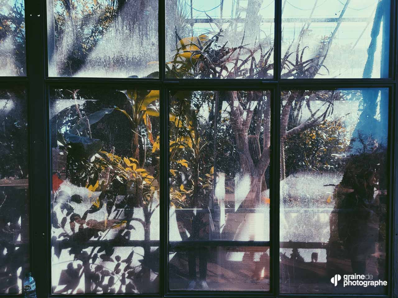 Photo Smartphone - Découverte Lyon