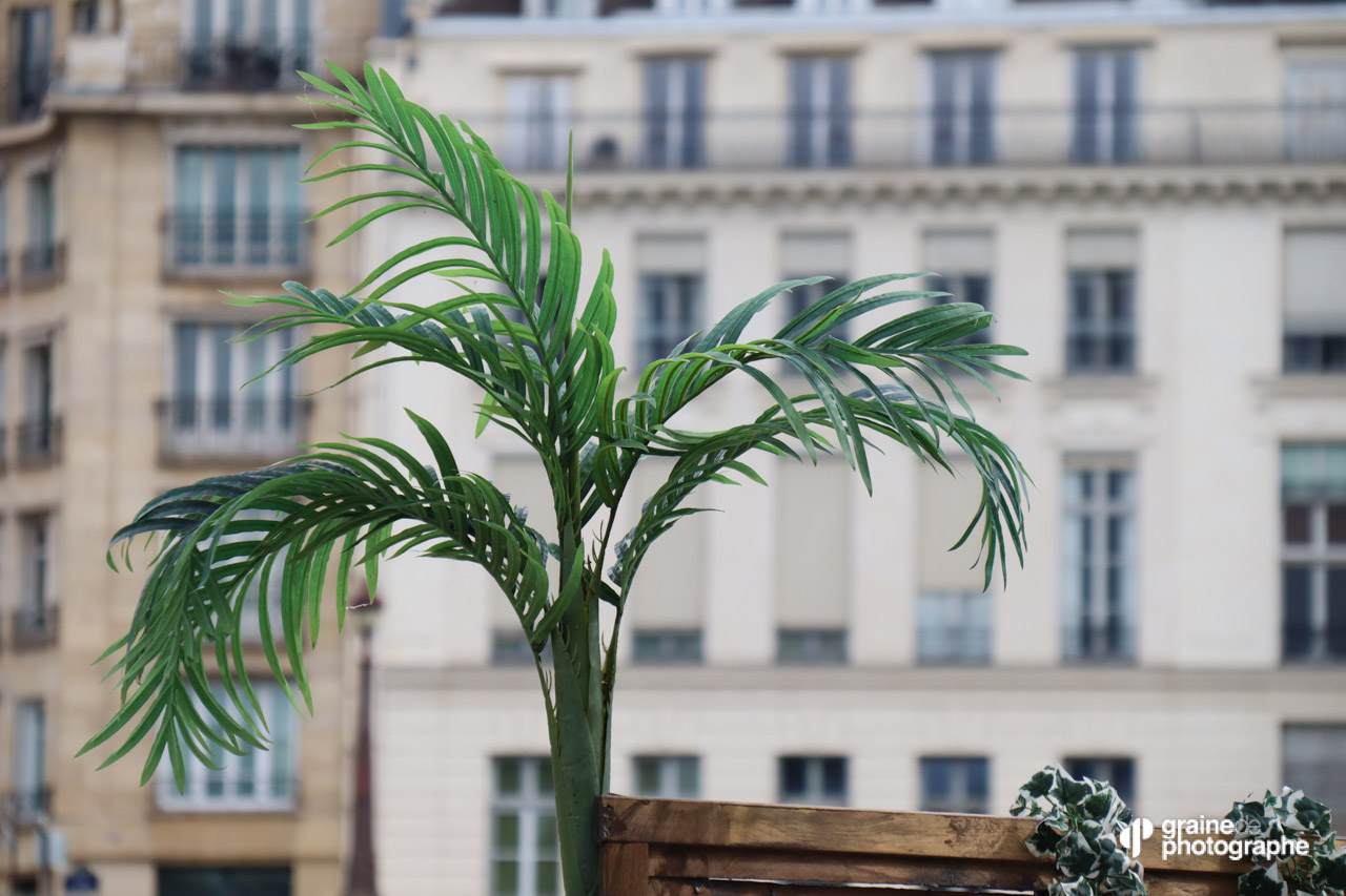 Profondeur de champ Paris
