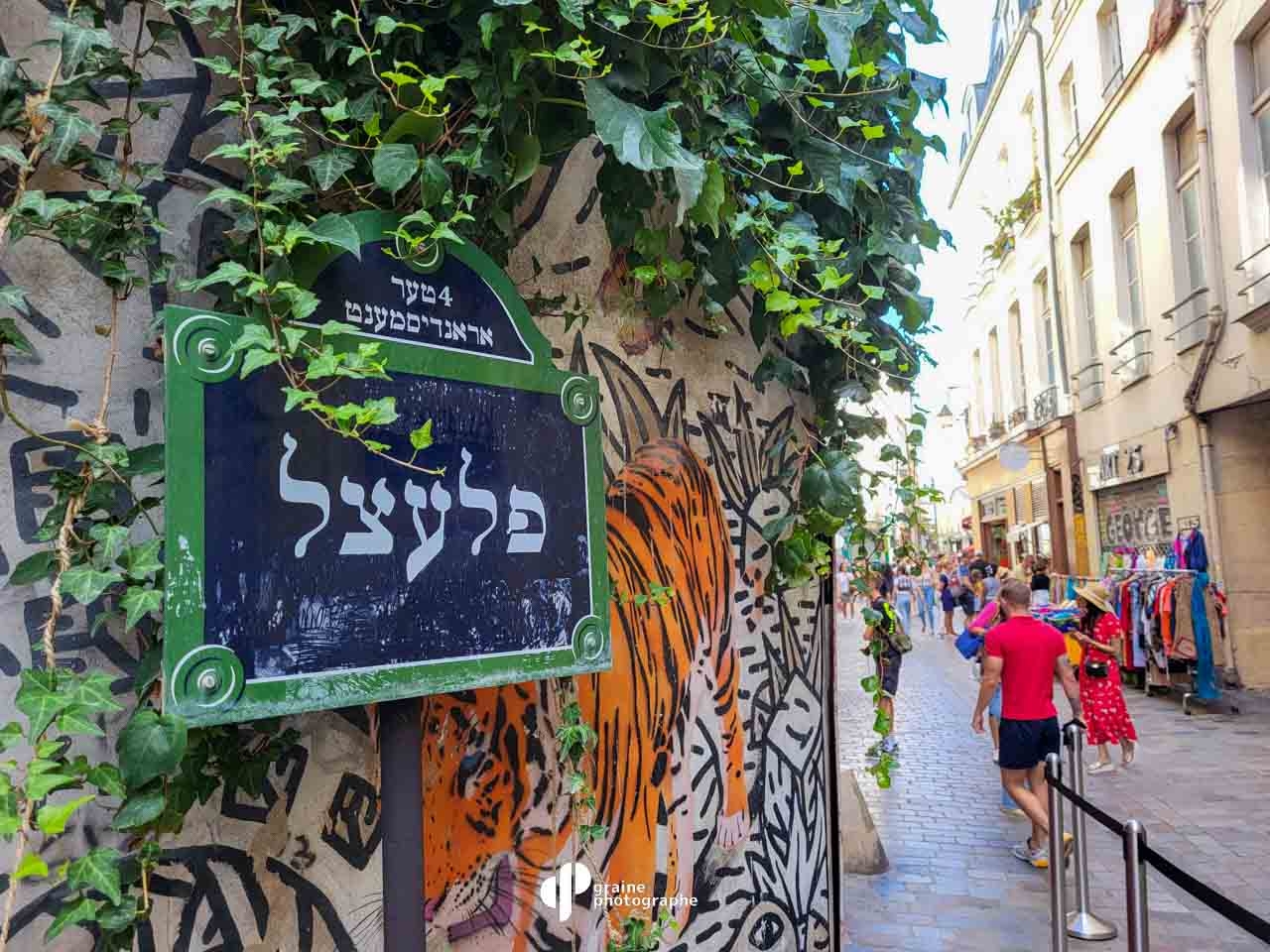 Photo Smartphone - Créatif Paris