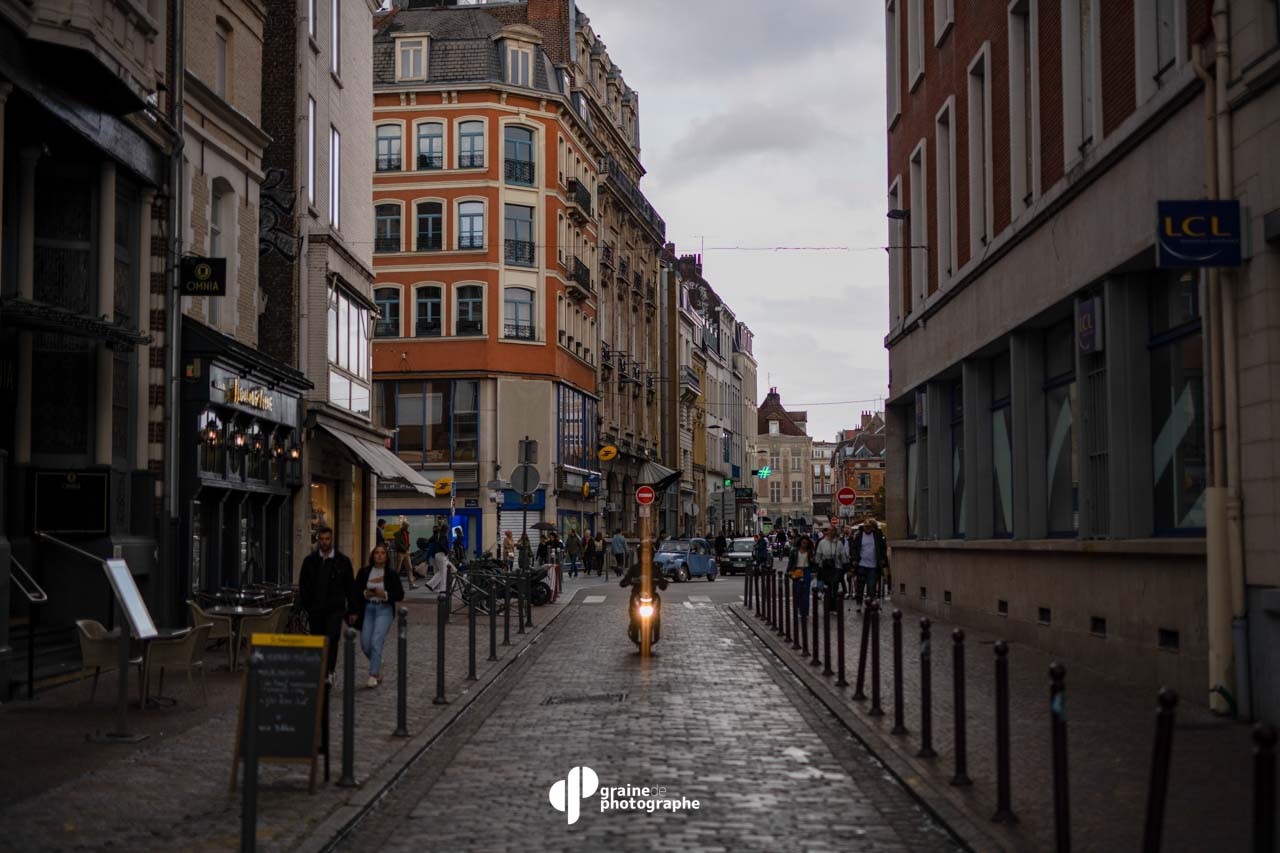 Composition Lille