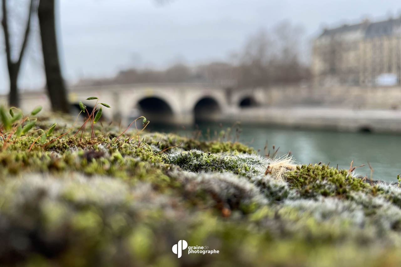 Photo Smartphone - Découverte Paris