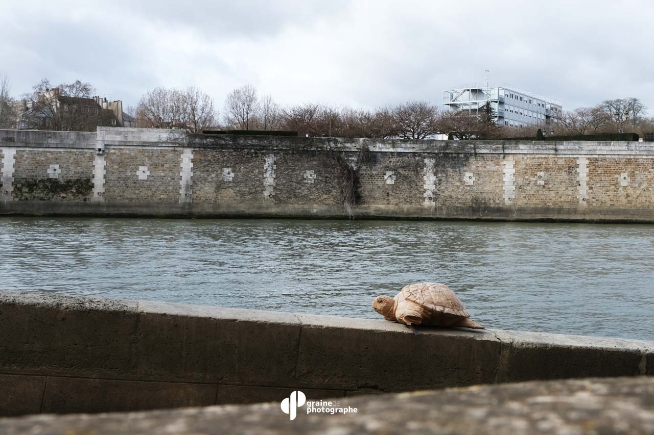 Composition Paris