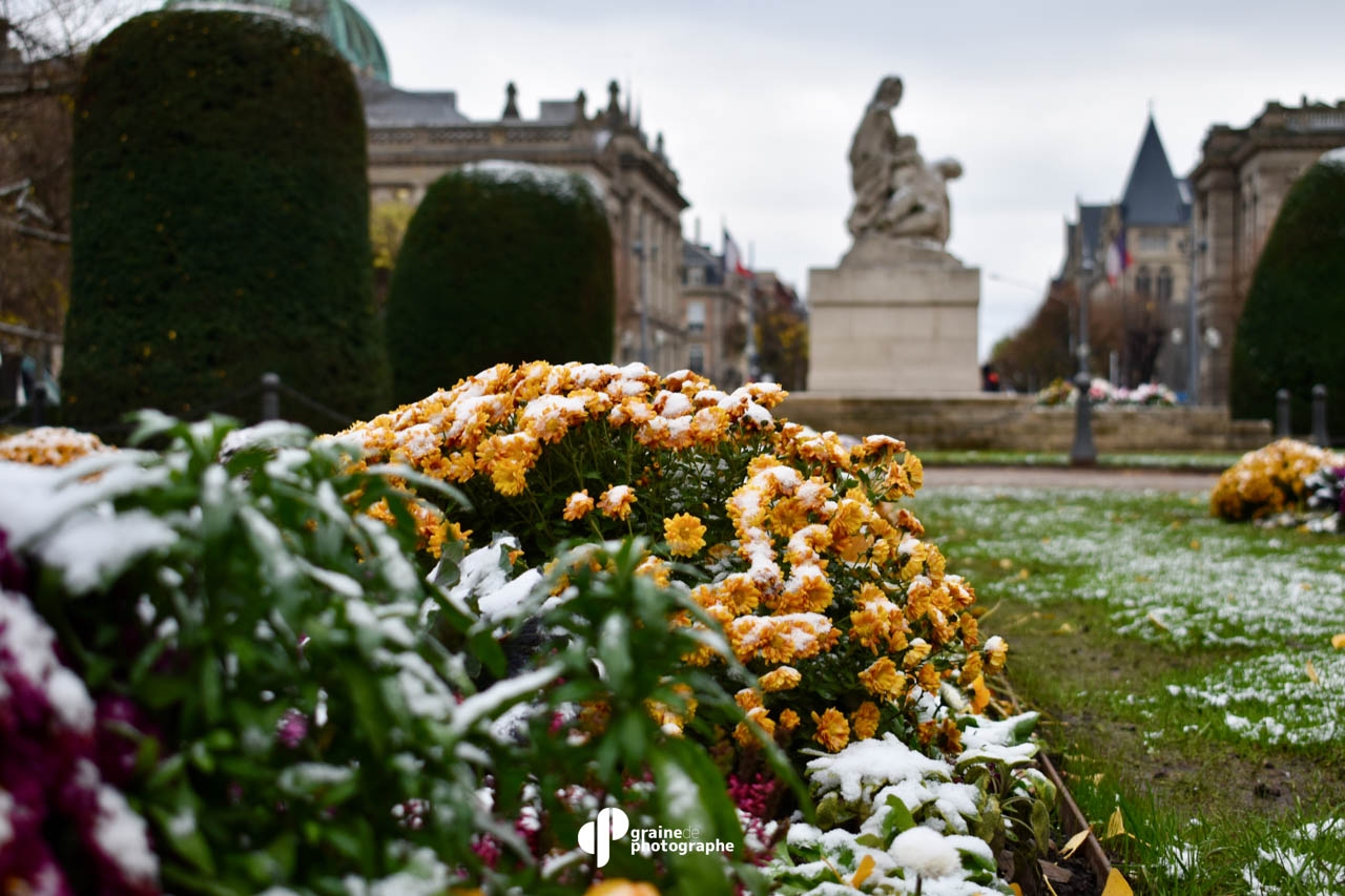 Profondeur de champ Strasbourg