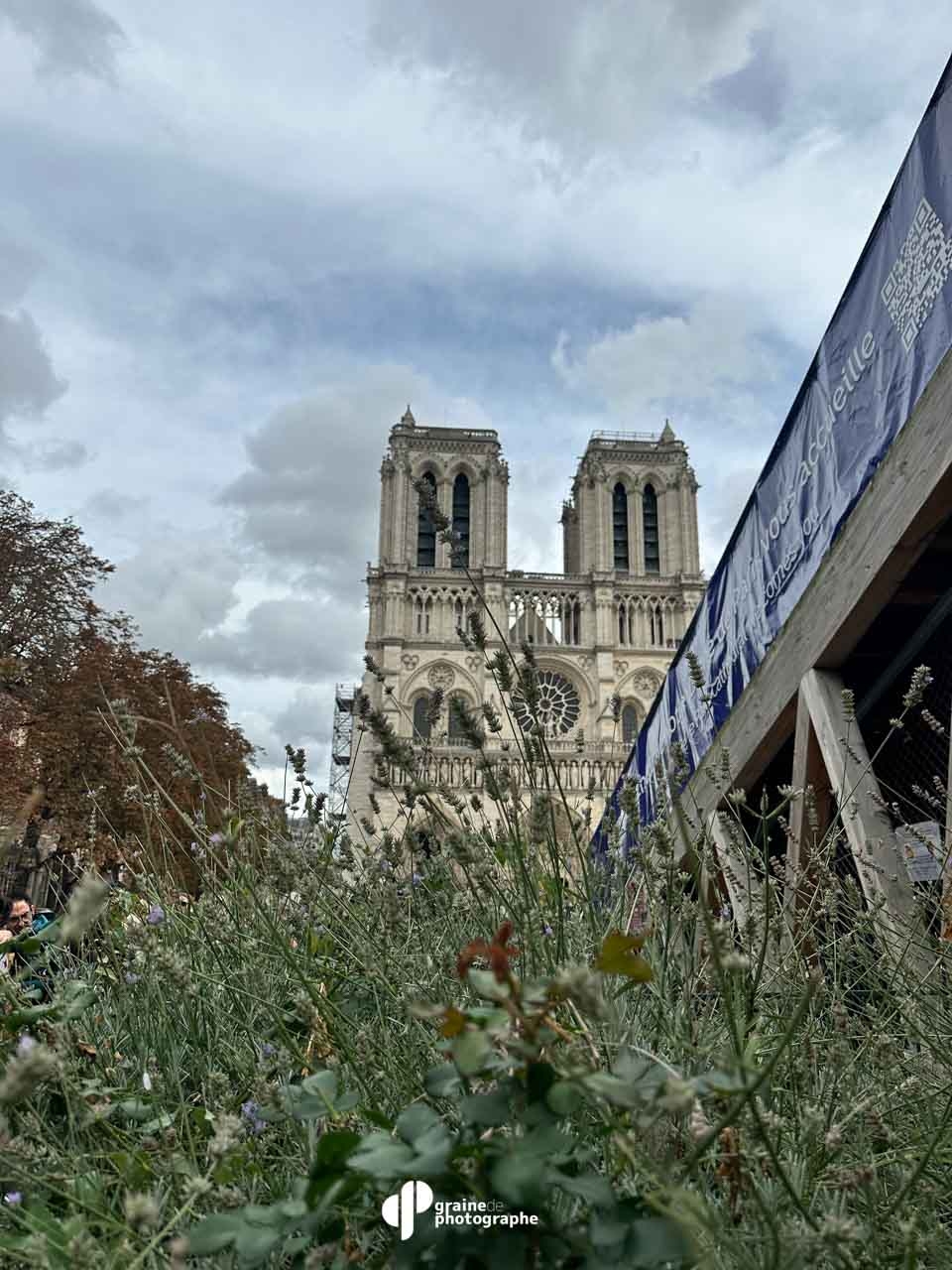 Photo Smartphone - Créatif Paris