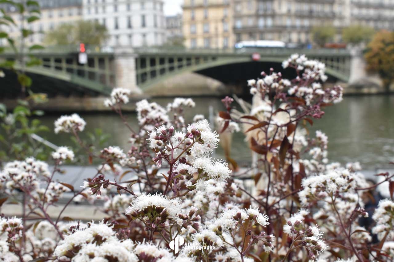 Profondeur de champ Paris