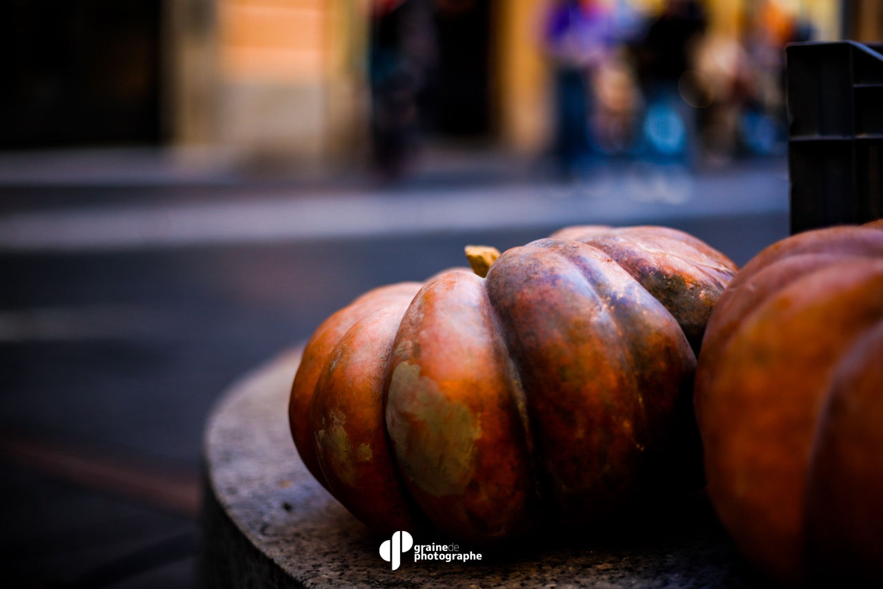 Profondeur de champ Toulouse