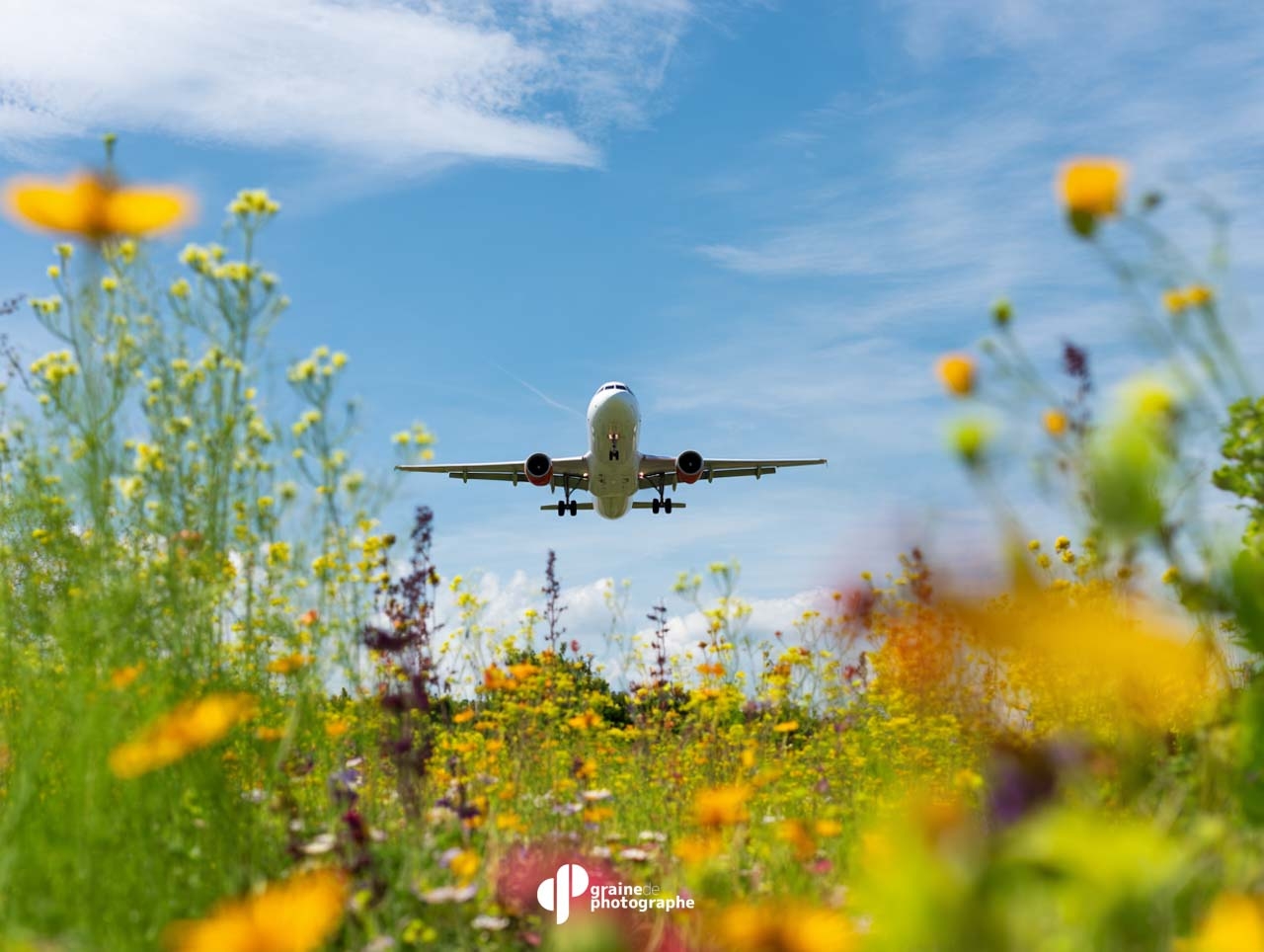 IA et Créativité Photo Paris