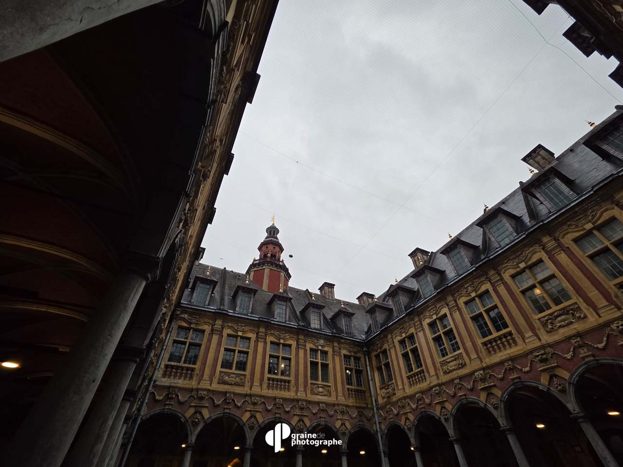 Photo Smartphone - Créatif Lille