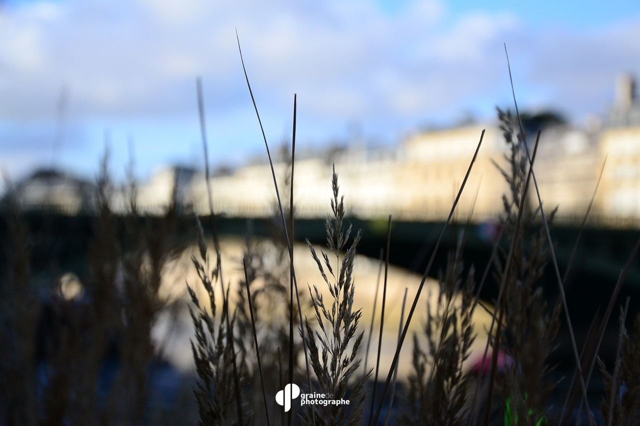 Profondeur de champ Paris