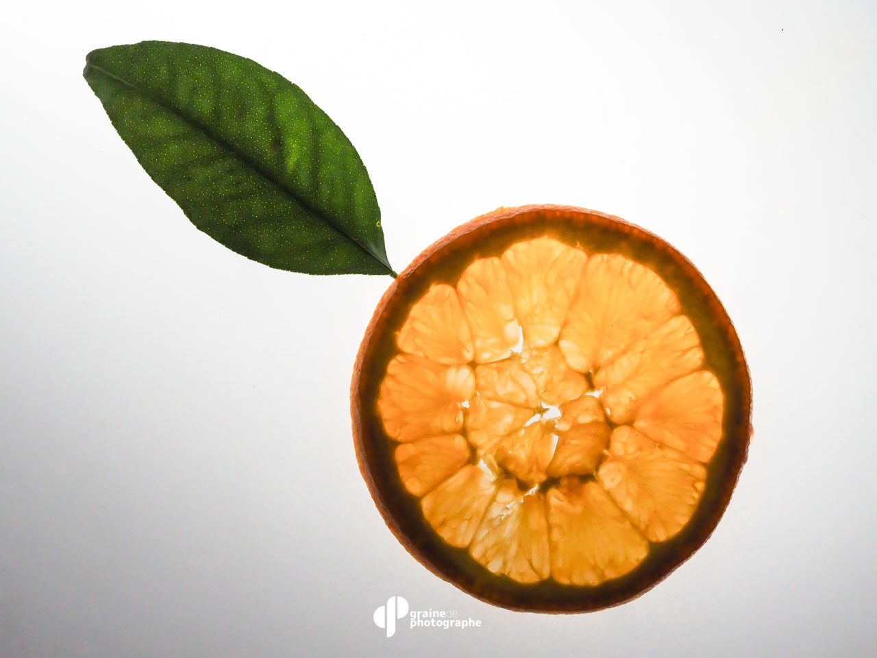 Photo culinaire Paris