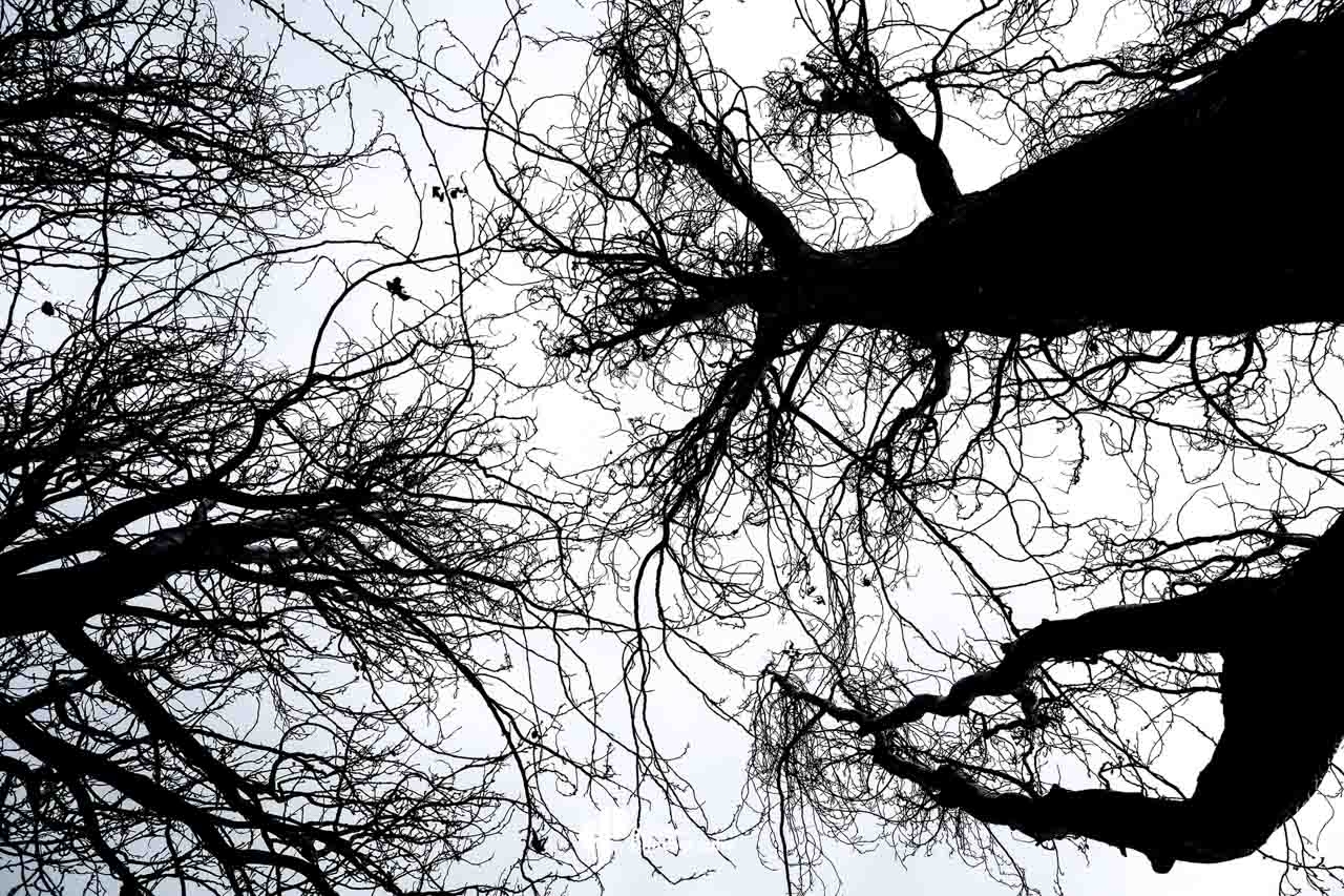 Lumière et exposition Paris