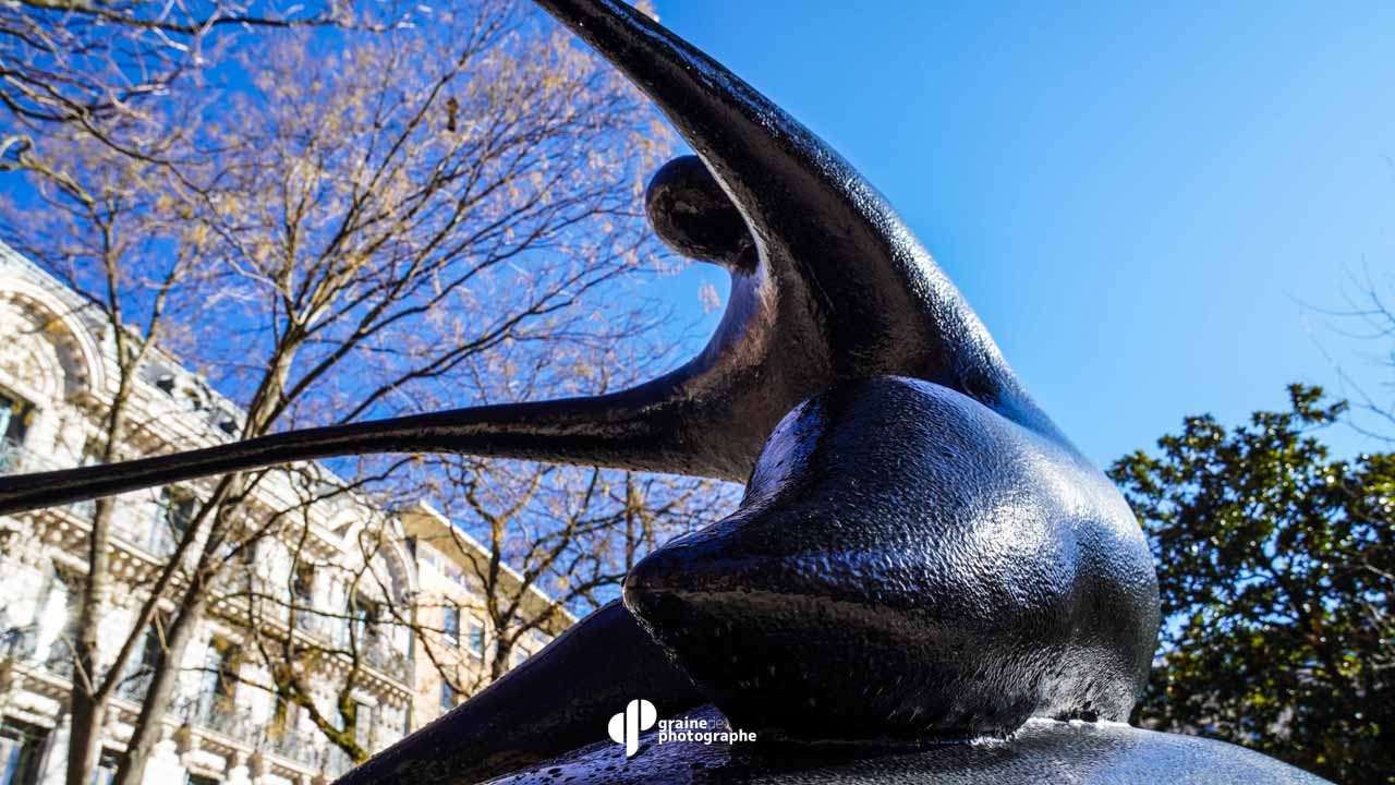 Composition Toulouse