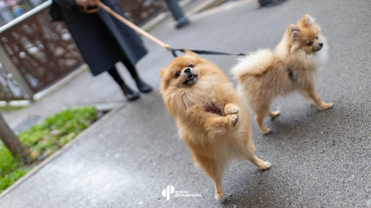 Street Photography Aix-en-Provence