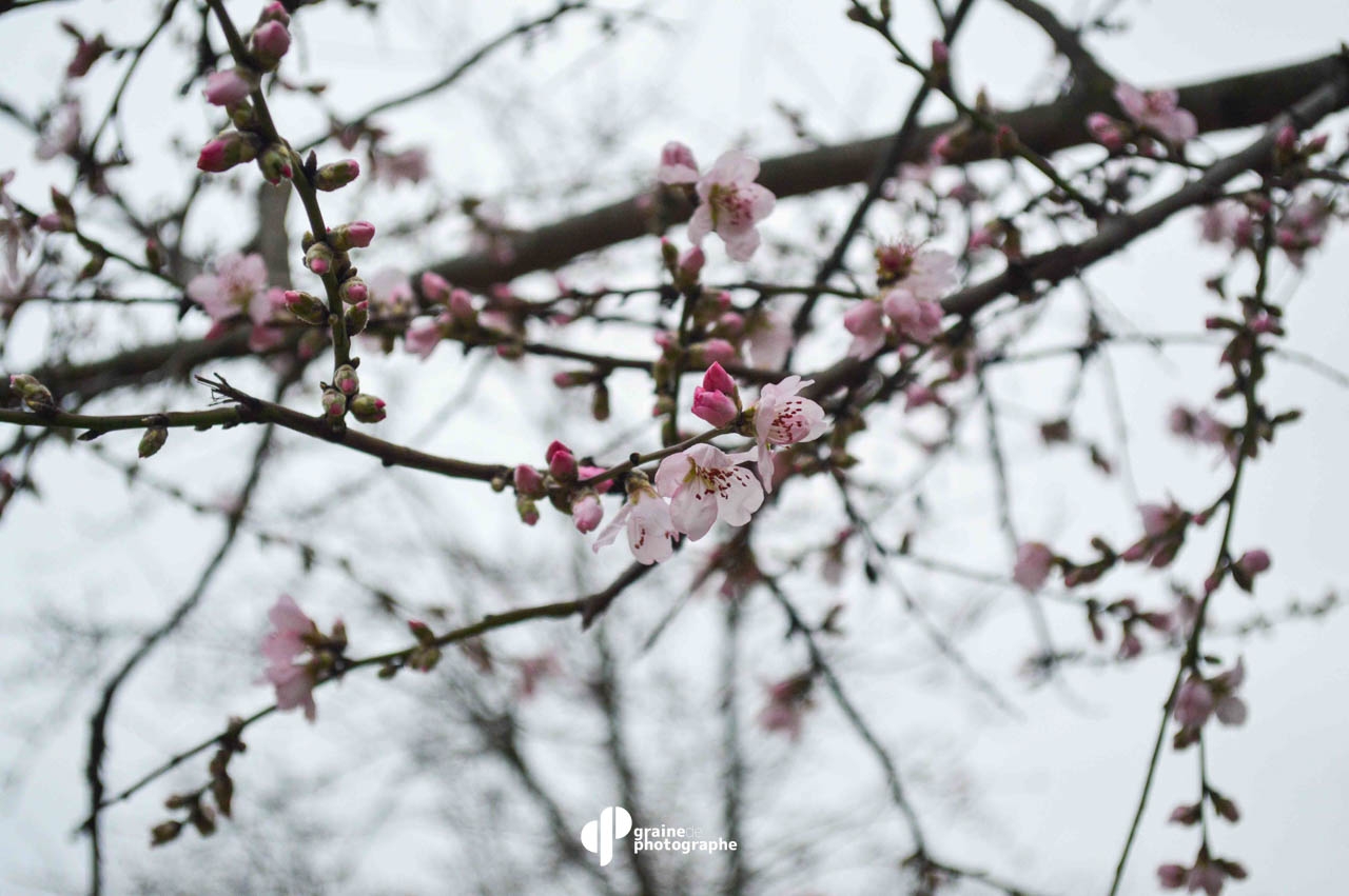 Profondeur de champ Paris