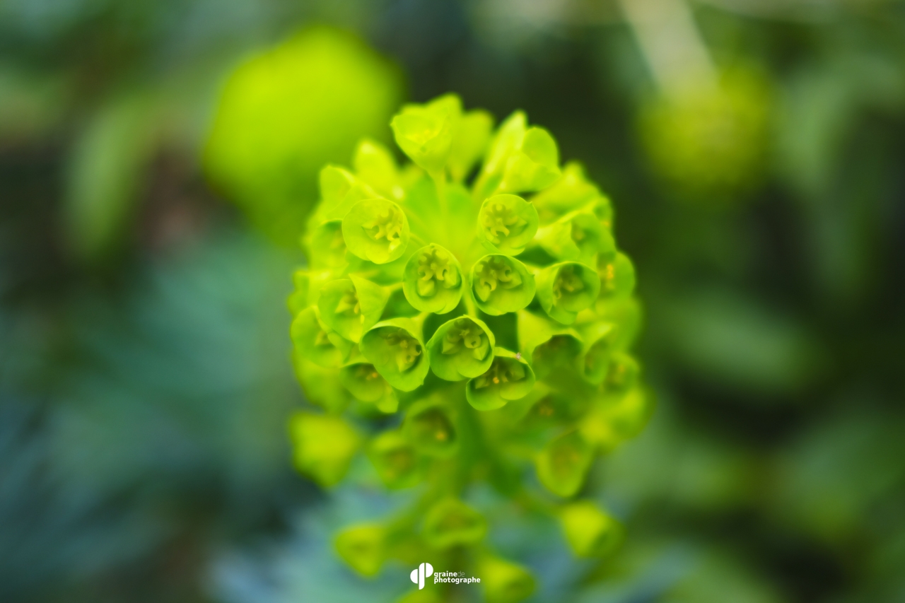 Stage photo Ados Paris