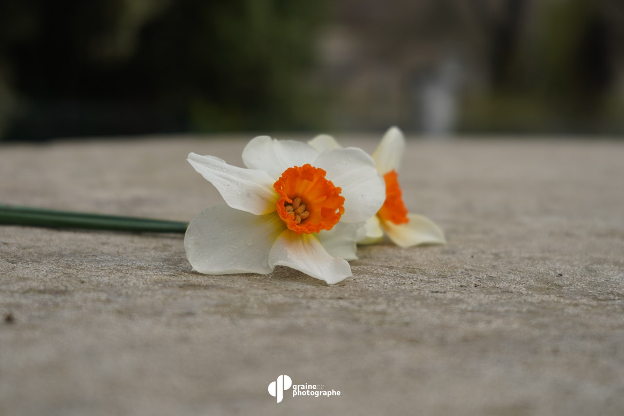 Profondeur de champ Paris