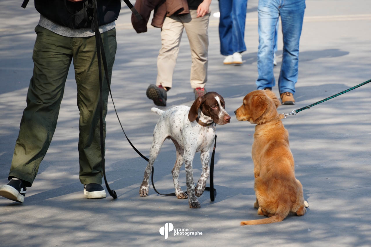 Street Photography Paris