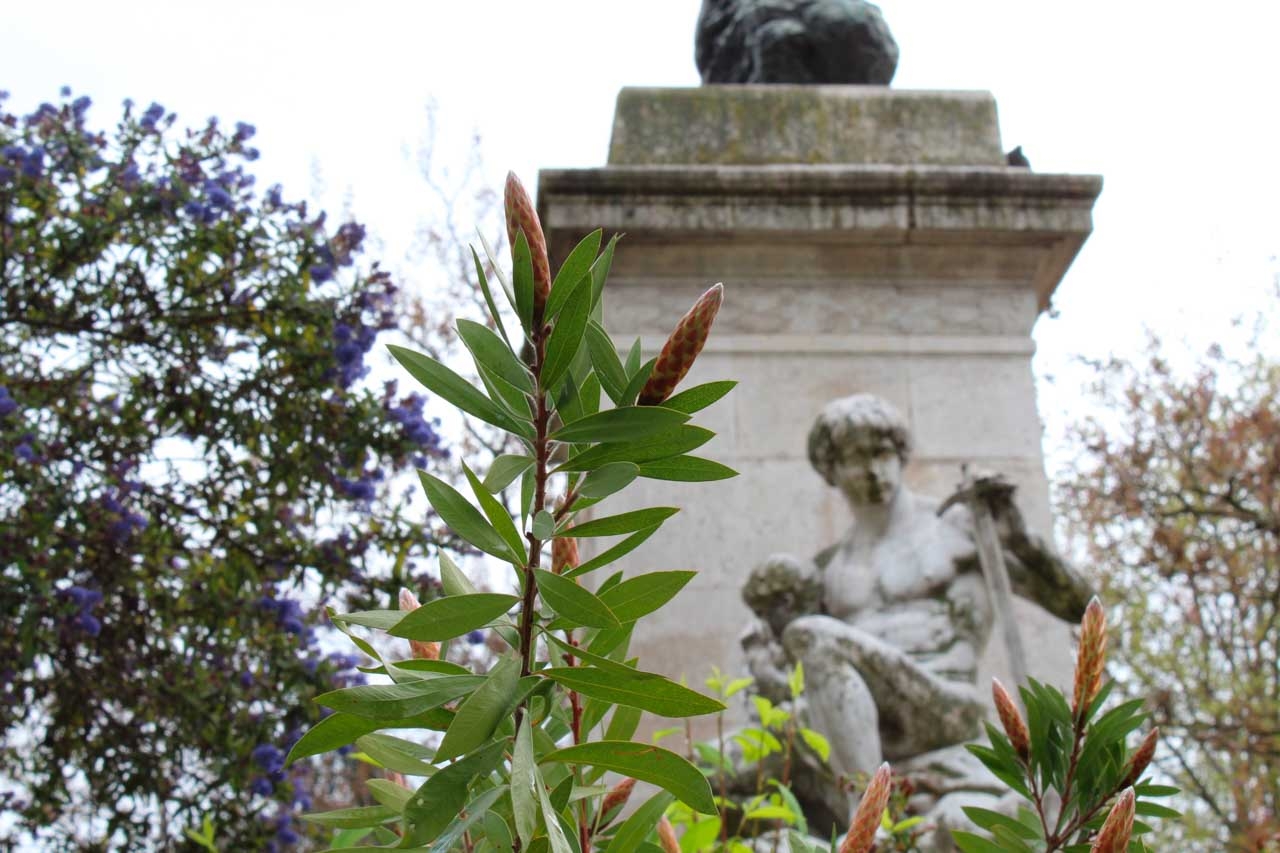 Profondeur de champ Paris