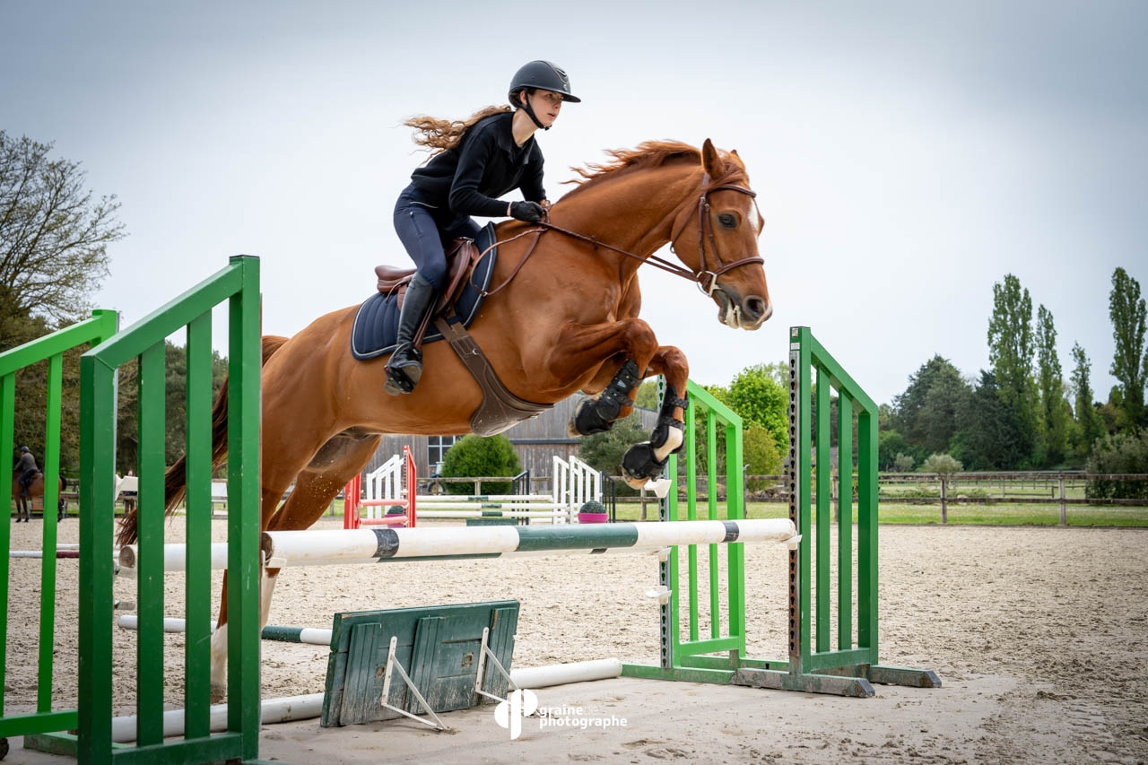 Masterclass Photographie Équestre Paris