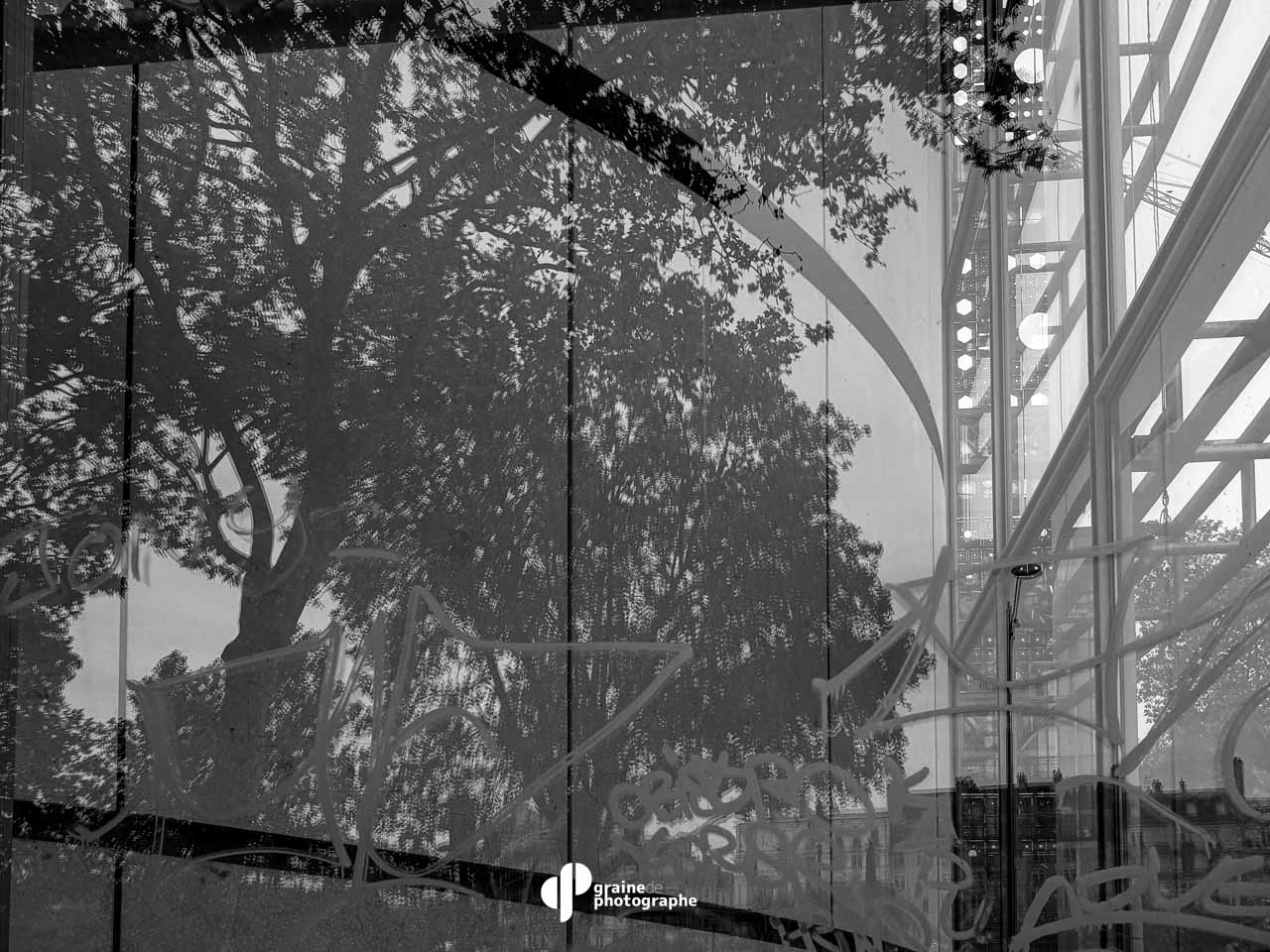 Photo Smartphone - Créatif Paris