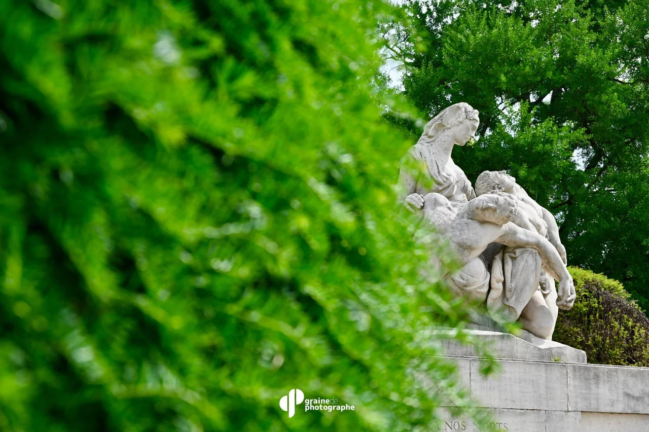 Composition Strasbourg