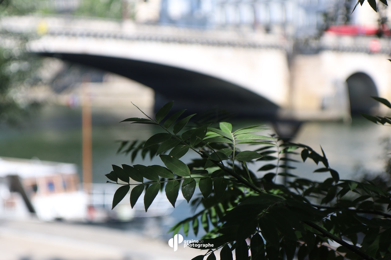 Profondeur de champ Paris