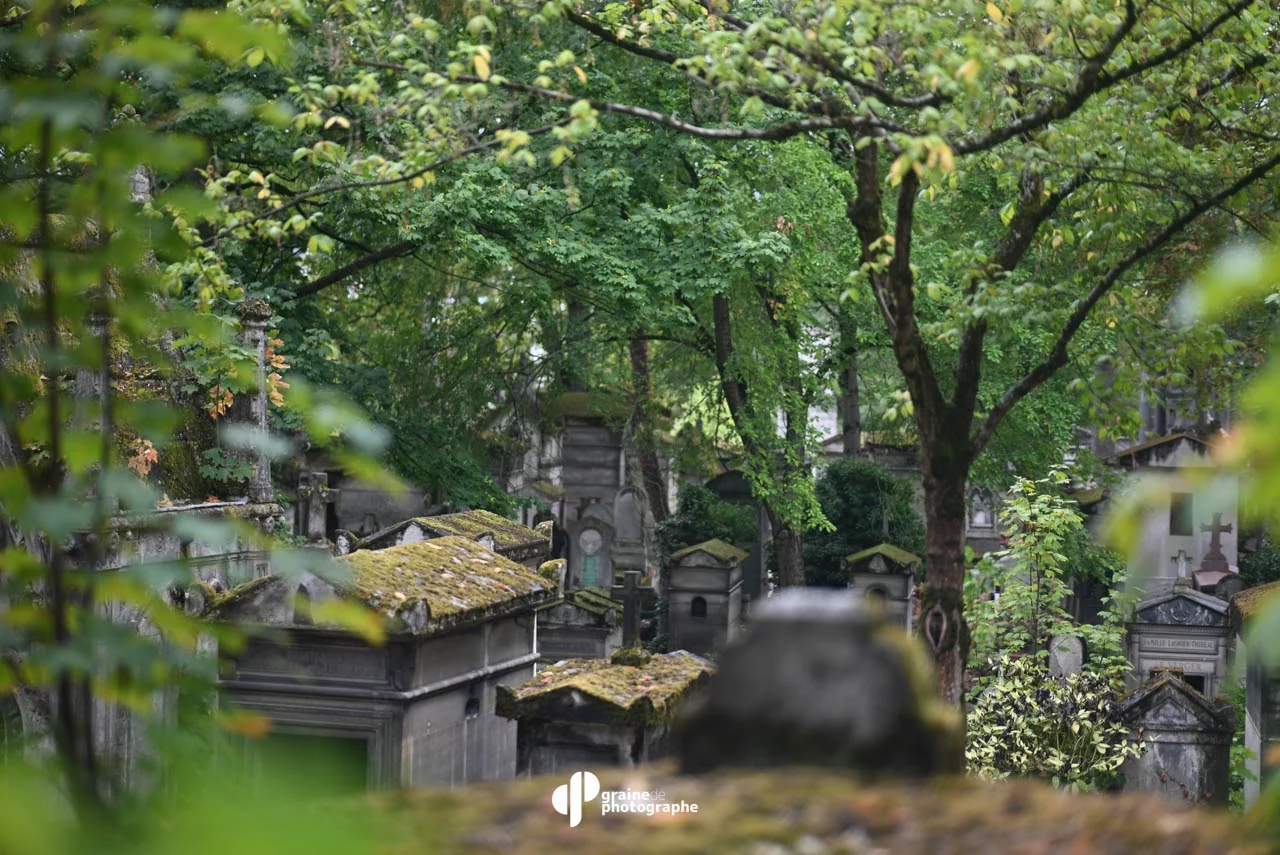 Balade Photo Père Lachaise Paris