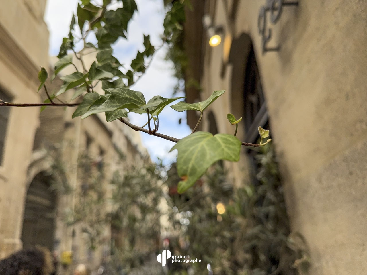 Photo Smartphone Expert Paris
