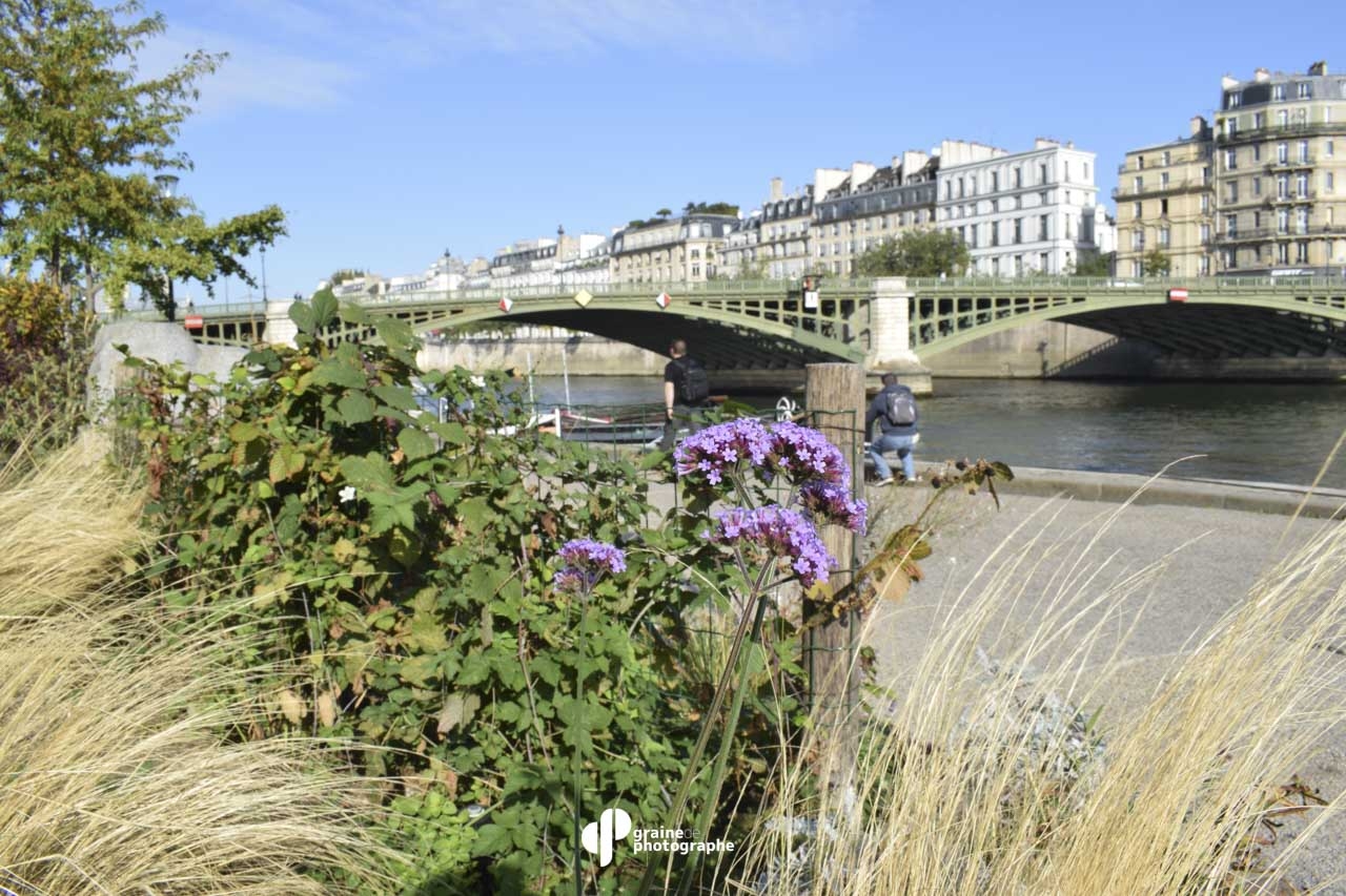 Profondeur de champ Paris