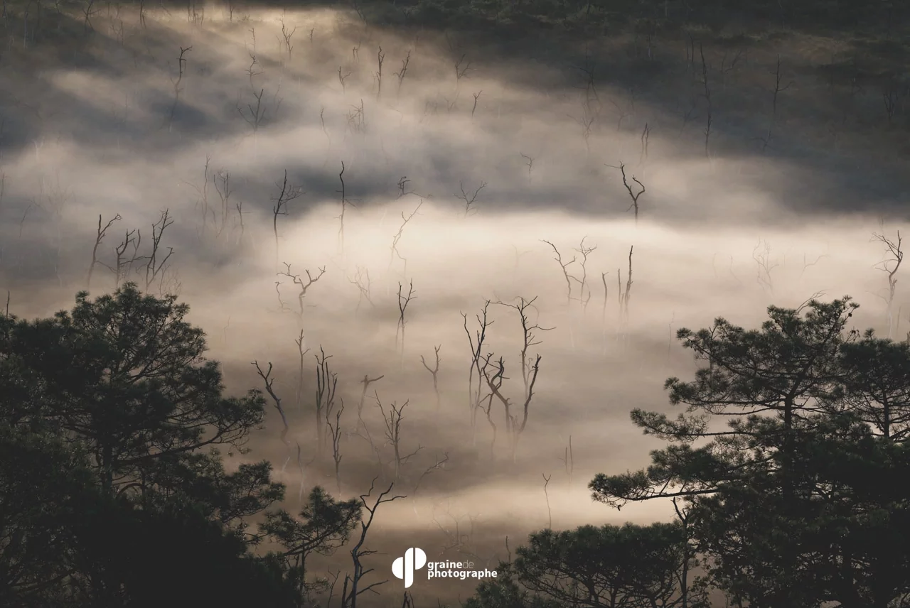 Masterclass Photo de Paysage Bassin d'Arcachon Arcachon